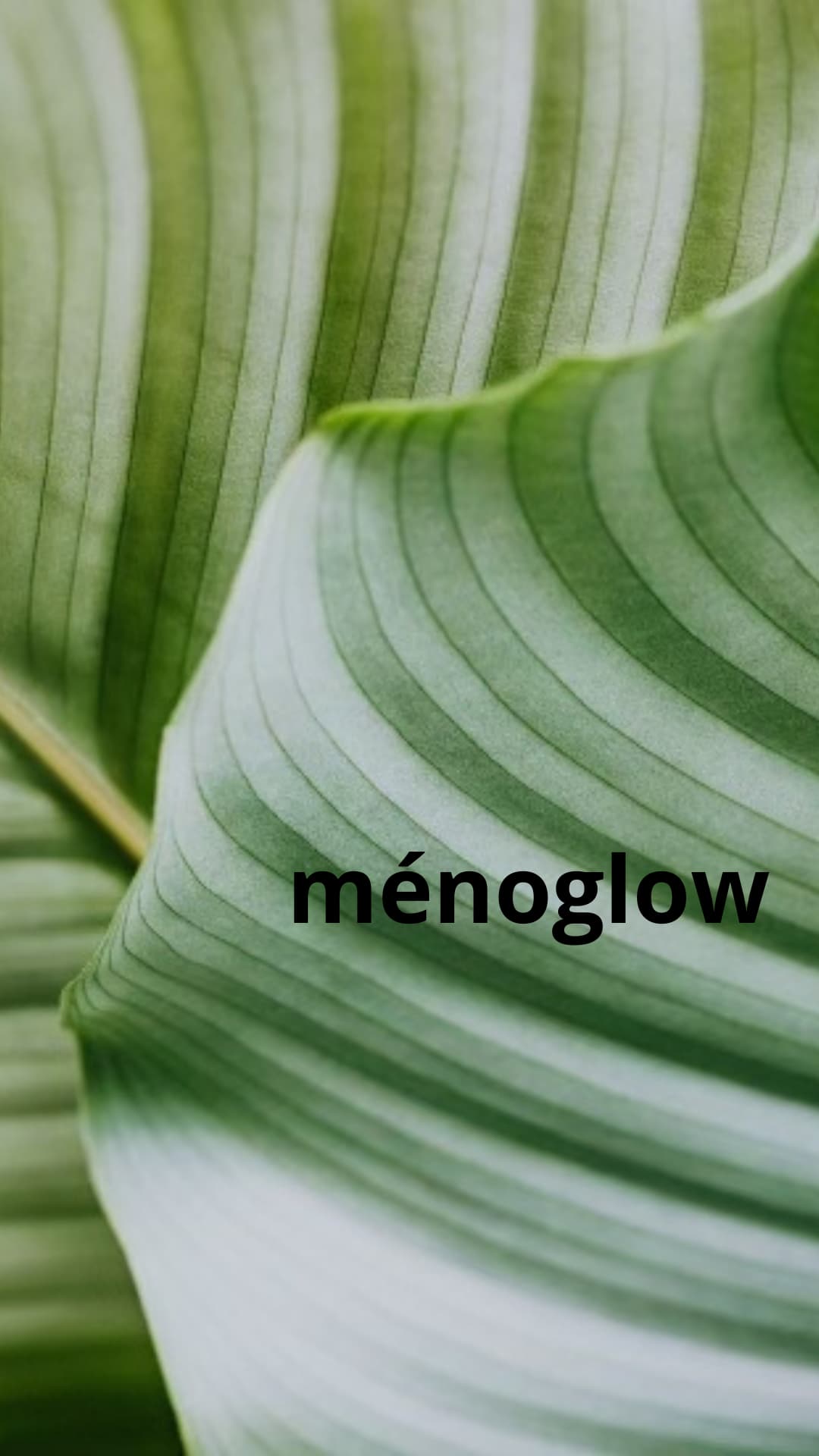 MÉNOGLOW